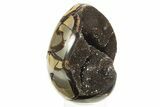 Septarian Dragon Egg Geode - Black Crystals #304612-1